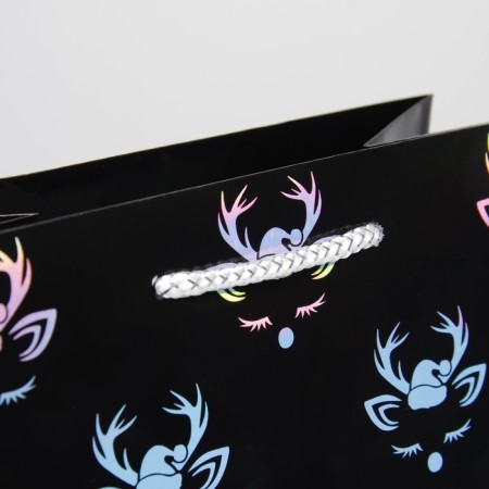 Packet Holography Vertical "New Year", MS 23 x 18 x 10 cm, New Year-2