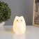 Night "cat" LED from white batteries 9.5x9x13.5 cm Risalux