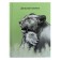 Notebook of 105 x 140 mm, 64 sheets "Lions", solid cover, glossy lamination
