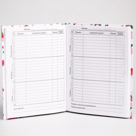 School diary, grade 1-11 in a solid cover, 48 liters of "cat Marie", cats aristocrats-1