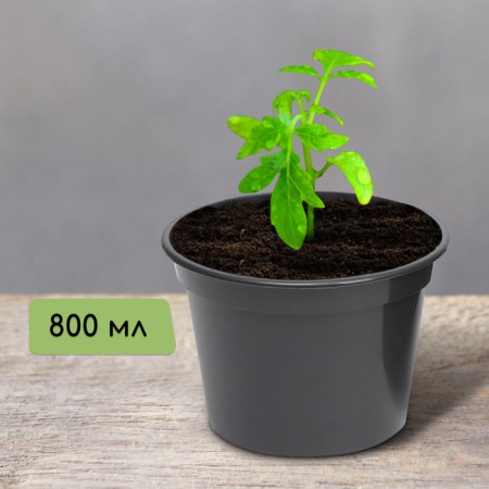 Pot for seedlings, 800 ml, d = 13 cm, h = 10 cm, mix