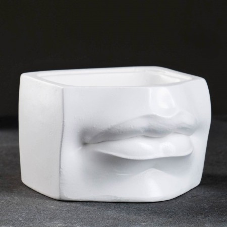 Kashpo - organizer "David's lips" white, 16x11.5x16cm-1