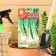 Seeds on the greens "a beam on a bundle", 0.5 g
