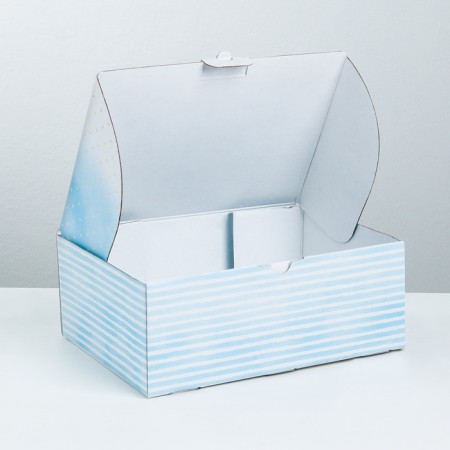 Box - Penal, Gift packaging, "Delicate cat", 26 x 19 x 10 cm-1