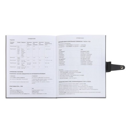 Universal diary for grades 1-11 Favorite, integrated artificial leather cover on the button, embossing foil, liesse, 48 sheets-15