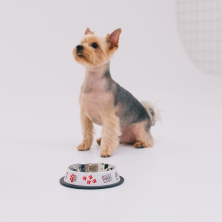 Metal bowl for a dog with a non -slip base “Give!”, 235 ml, 15x3.5 cm-4