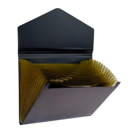 Folder-Krathek 12 departments, A4, elastic band, Devente My Gold, 700 μm-2