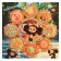 Board game-carrier "Cheburashka", in a triangular box, 300 × 300 × 50 mm