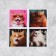 Volumetric 3D stickers on the phone "Cats", 4 pcs, 3 x 3 cm