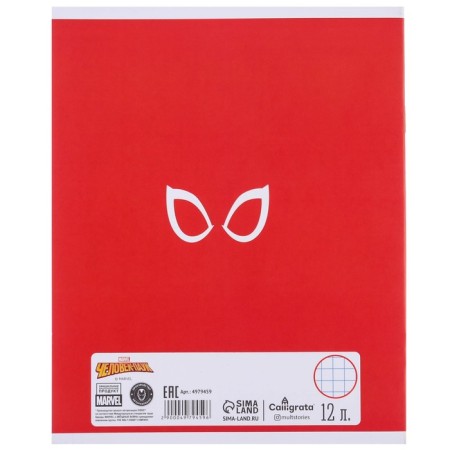 Gift set for a boy, 9 items, Spider-Man-5