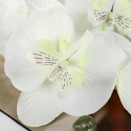 Artificial flowers "Moldiy orchid" 9x66 cm, white-1