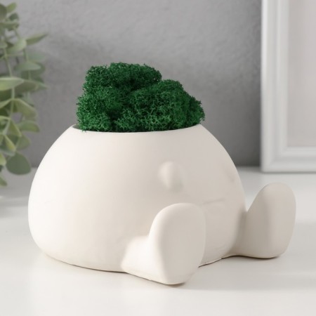 Cashpo concrete "Ball with eyes" with moss 7*12 cm white (moss green stabilized)-1