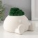 Cashpo concrete "Ball with eyes" with moss 7*12 cm white (moss green stabilized)