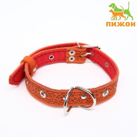 Collar leather reinforced with a kapron with a half-ring, 55 x 2.5 cm, Osh 27-53 cm, red