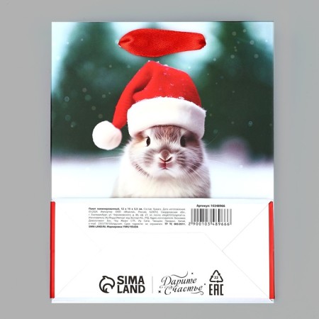 Package Gift New Year's laminated "Happiness in the New Year", rabbit, S 12 x 15 x 5.5 cm, New Year-4