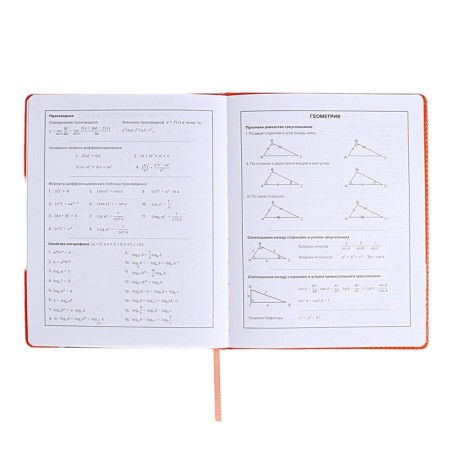 School diary for grades 1-11, "cat", firm covering with foam, artificial leather, lacing, liesse, universal cheat sheet, 48 sheets, block 80g/m2-9
