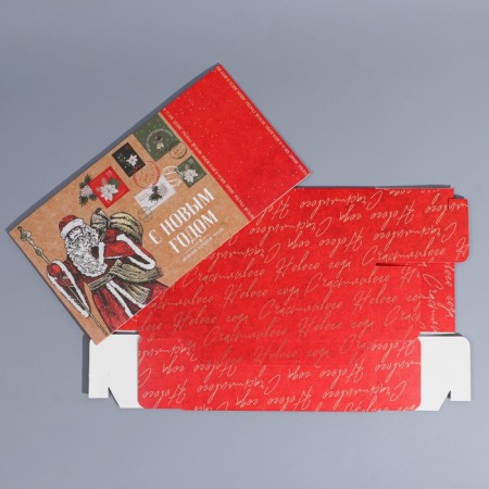 Box the team "New Year's Post", 20 x 15 x 8 cm, New Year-6