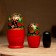 Matryoshka "Khokhloma", black scarf, 3 puppet, 9 cm