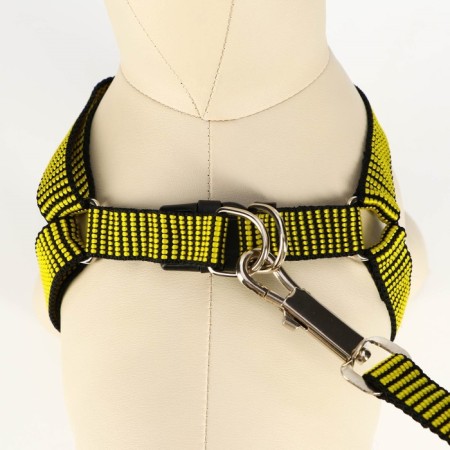 Acunition set is embossed, leash 120 x 2 cm, og 44-50 cm, yellow-black-3