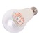 LED phytolamps, for plants, A60, 11 W, 220 °