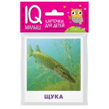 A set of cards for children 