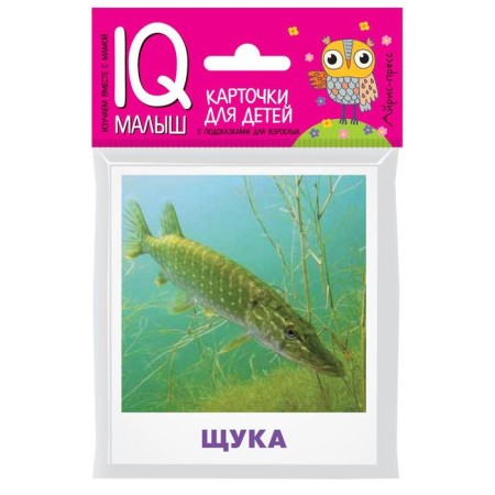 A set of cards for children "freshwater fish". Malunova M.V.