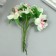 Flowers for decorating "Iris" yellow 1 bouquet = 6 colors 9 cm