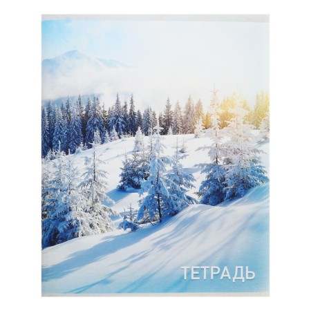 A notebook of 96 sheets in Calligrata "Nature", covered cardboard, block No. 2, whiteness 75% (gray sheets), mix-4
