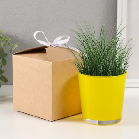 Set for growing plants "grow grass" yellow-3