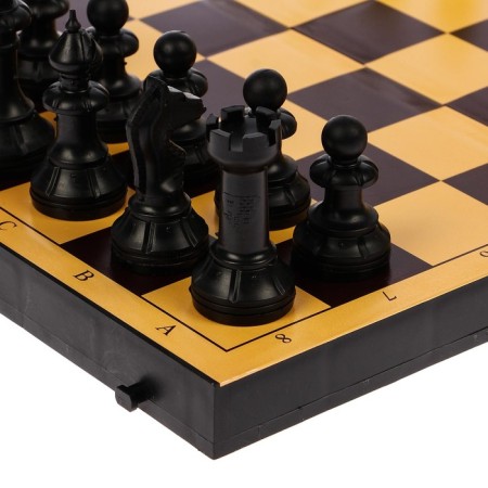 Board game 2 in 1 "Family": chess, checkers, plastic board 30 x 30 cm-2