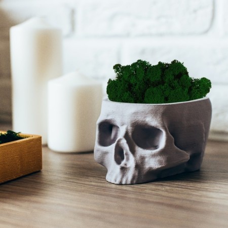 Kashpo concrete "skull" with moss lightly gray 13x9x6.5 cm (moss green stabilized)-5