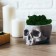 Kashpo concrete "skull" with moss lightly gray 13x9x6.5 cm (moss green stabilized)