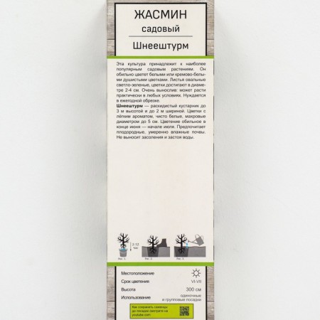 Jasmine Sadovy (Monaure) "Shnehhturm", 1 pc, tube, spring 2025-1