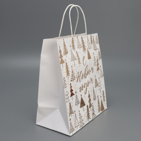 Package gift craft "New Year's time", 22 x 25 x 12 cm, new year-2