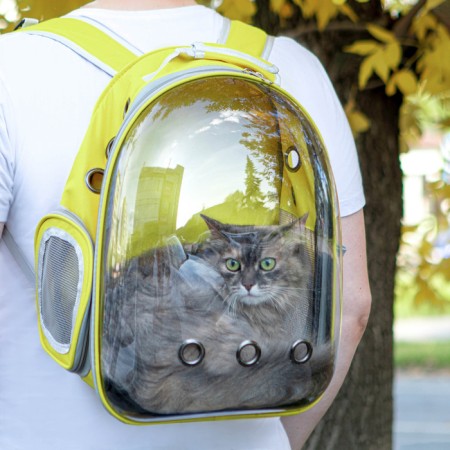 Backpack for carrying animals, transparent, 31 x 28 x 42 cm, yellow-1