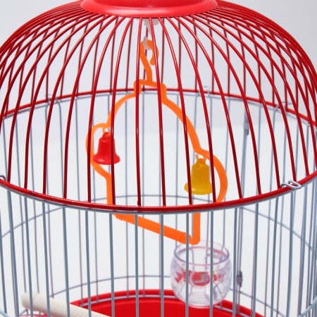 Birds Cool C;-4