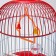 Birds Cool C;