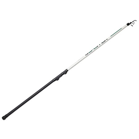 Salmo Blaster Ultima Telerod rings, test 5-20 g, length 3 m.