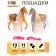 Set of horses "Magic Cones", with accessories