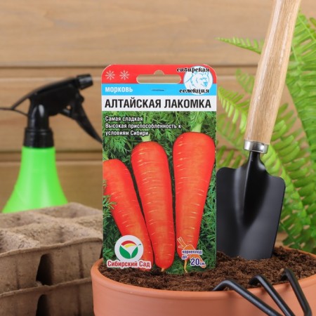 Seed Carrots Altai Tandy, 2 g-3