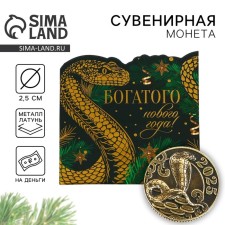 Coin New Year's amulet 
