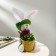 Flower stand, 1 pot, d = 7.5 cm, h = 7.5 cm, “hare”, Greengo