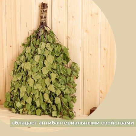 Broke for the bath Birch Bogatyrsky (set 20 pcs)-3