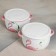 Broth with ceramic cover "Tropics", 900 ml, D = 14.5 cm, color mix