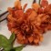 Artificial Flowers "Carnival" 66x7 cm, orange-brown