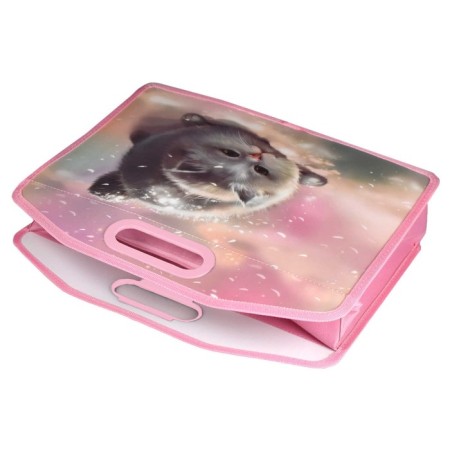 Folder with handles plastic A4, 370 x 300 x 110 mm, with a cut handle, Phoenix "Cat"-2