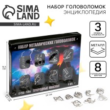 Metal puzzle 