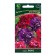 Flowers of Petunia Frequencies Trick multi -flowered duo Froilen, 10pcs