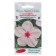 Flower seeds Cataranth Large -flowered first -grader F1 5 pcs.