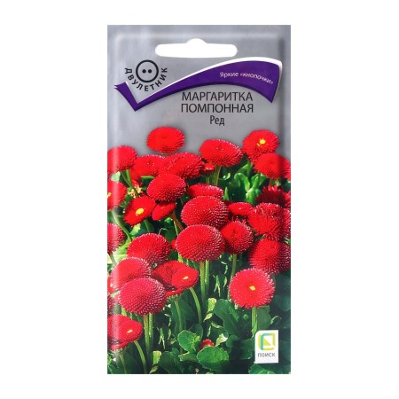 Flower seeds Margaritite Pomopone Red, 0.05gr